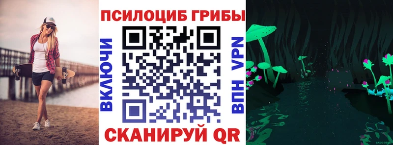 Псилоцибиновые грибы Psilocybe  Рославль 