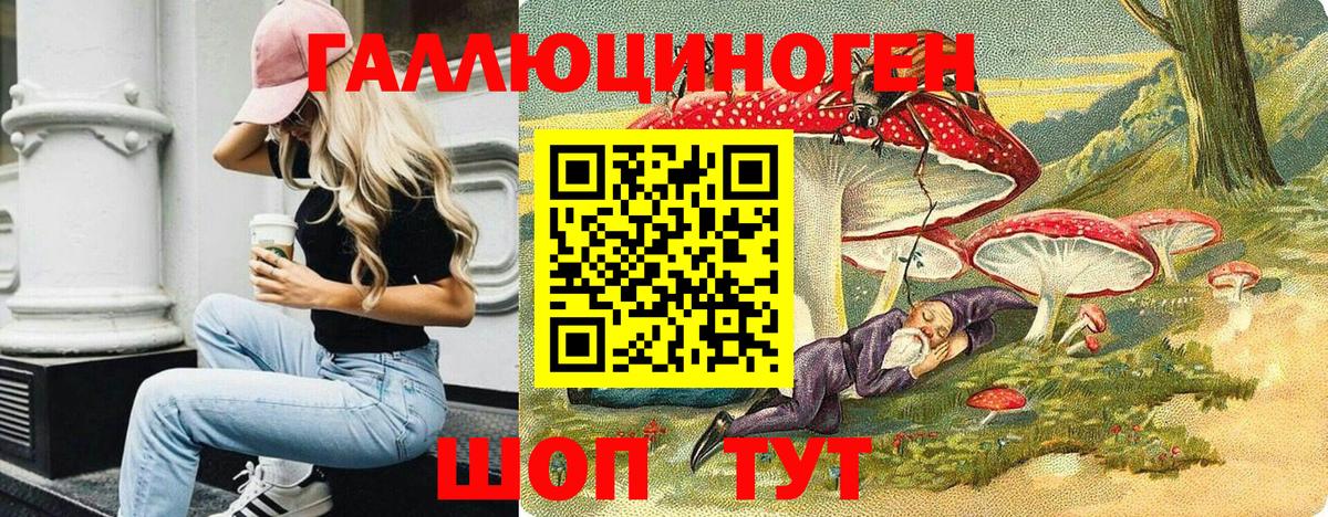 Псилоцибиновые грибы Cubensis Рославль
